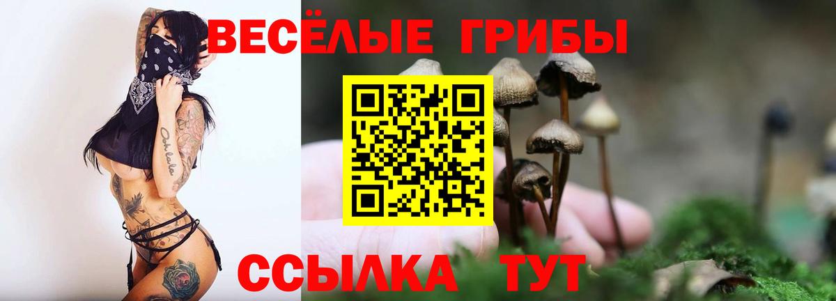 Псилоцибиновые грибы Magic Shrooms Воронеж